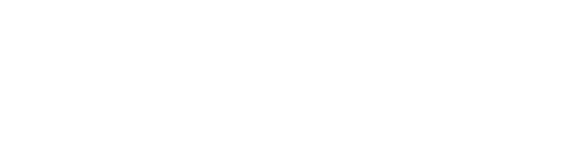 loyva-logo-white